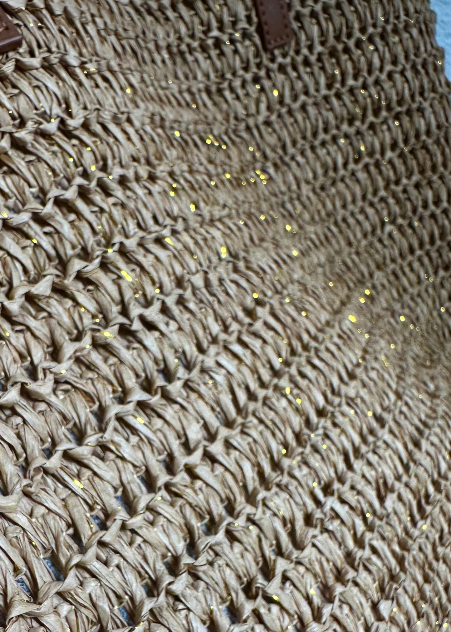 Sunkissed Shells Beach Bag